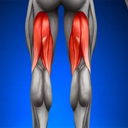 Condition Hamstring Tear